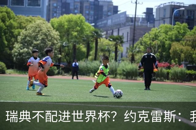 瑞典不配进世界杯？约克雷斯：我们凭实力进的，首战就5-1赢了